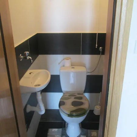 Apartment Dragicevic Vir