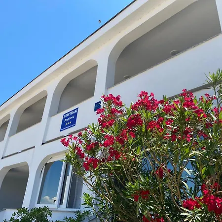 Apartment Dragicevic Vir
