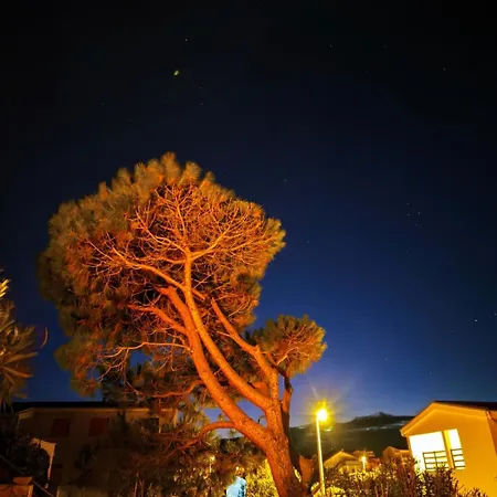 Dragicevic Apartment Vir