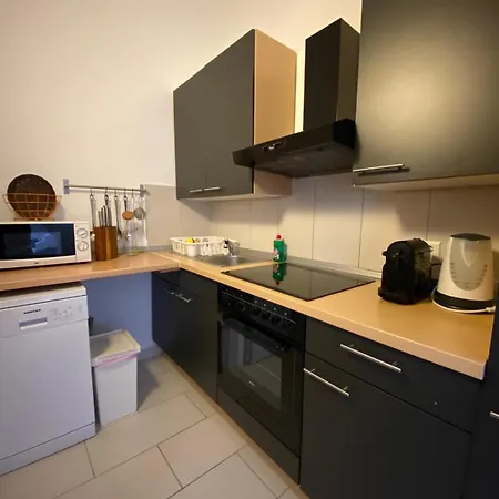 Dragicevic Apartment Vir